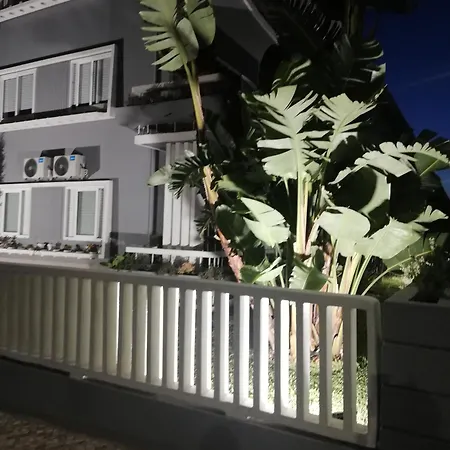 Buddies Charm House Apartment *